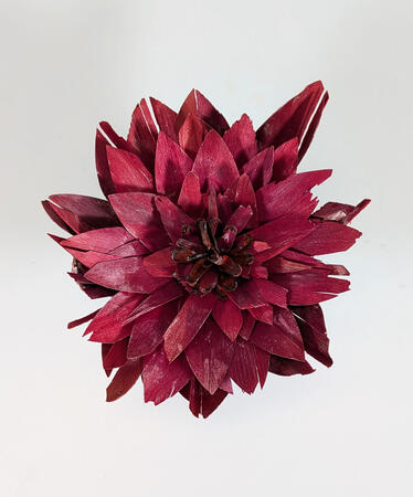 Multi exploration 6 (haut)