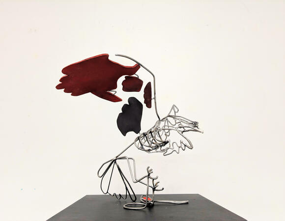 Corvus Corax en atterrissage