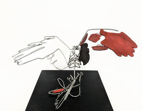 Corvus Corax en atterrissage (dos)